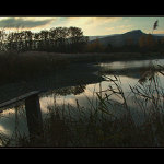 <b>PODVEČER U RYBNÍKA...</b>