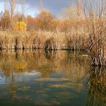 Milovické toulánky - Od vody