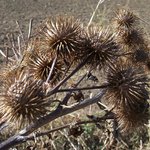 lepí se na každého....