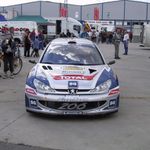 Krasavec 206 WRC