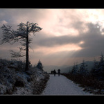 Útěk před bouří