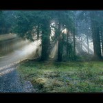 Nadpřirozené bytosti existují