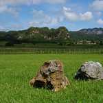 Udolie Vinales -Cuba