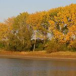 Podvečer pri jazere