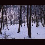LESNÍ IDYLA-ZIMNÍ POHÁDKA
