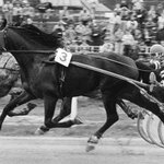 Harem prince a Jan Demele