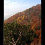 Lichnice - Kaňkovy hory