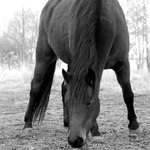 Zbylo ještě něco...