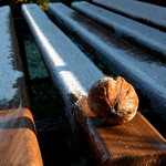 Možná je kouzelný...?