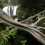 Vodopád na Bílé Opavě