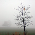 Zřetelný konec sezóny