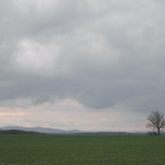 Můj nejfotografovanější strom