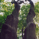 stromčeky