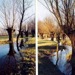Tri Dvory - Labe