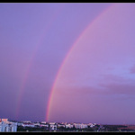 Duha obecná zlověstná