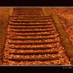 Takový schody do nebe ....