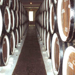 Víte kde takhle zraje koňak??