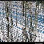 Březnové odpoledne