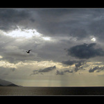 Kdepak ty ptacku hnizdo mas