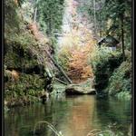 Čechyše Švajcrlend 4