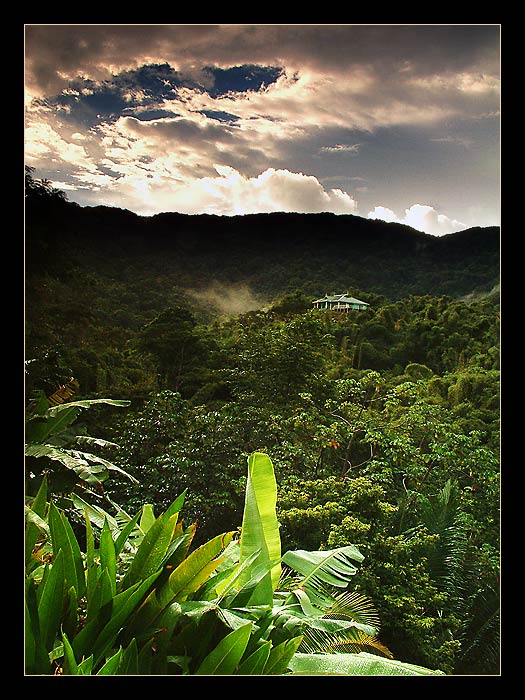 .:: Po probuzení ::.