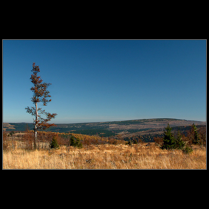 Z Krusnych hor III.....