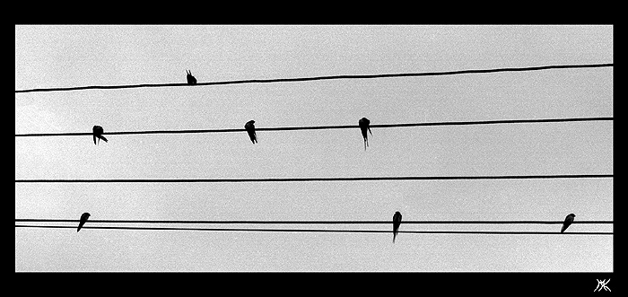 Sol-Si-Re-Fa-Re-Re-Sol-Sol