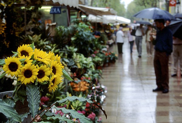 Las Ramblas - Barcelona