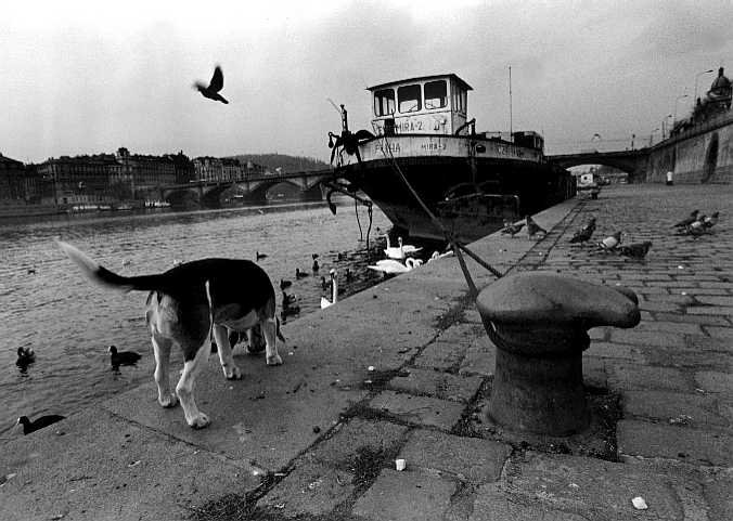 14.11.03 Rašínovo nábřeží 14:30