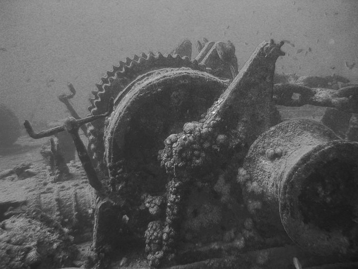 z deniku J.Y.Costeau