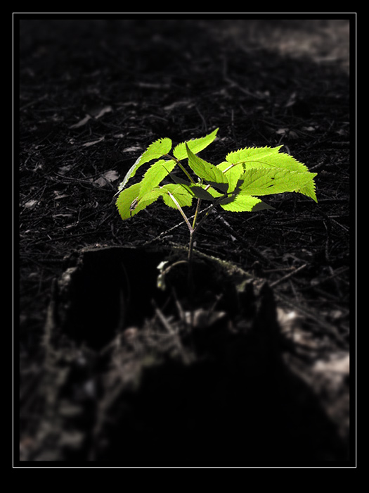 <b>Ohřát</b> se tak na <b>výsluní</b>