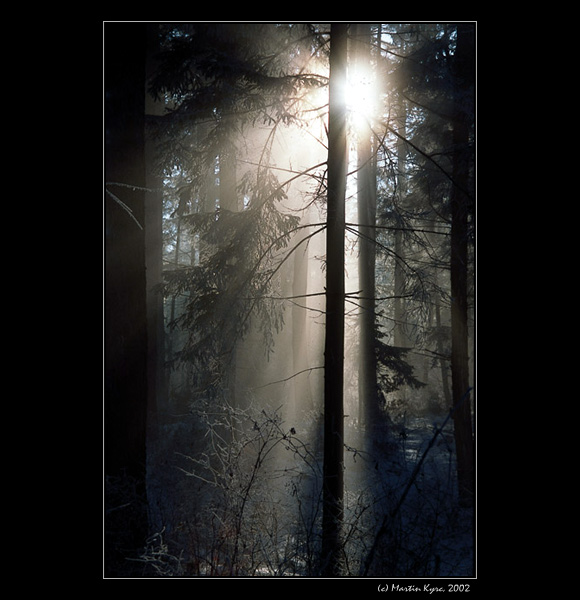 Deep Forest