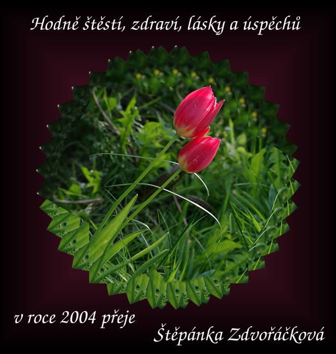PF 2004