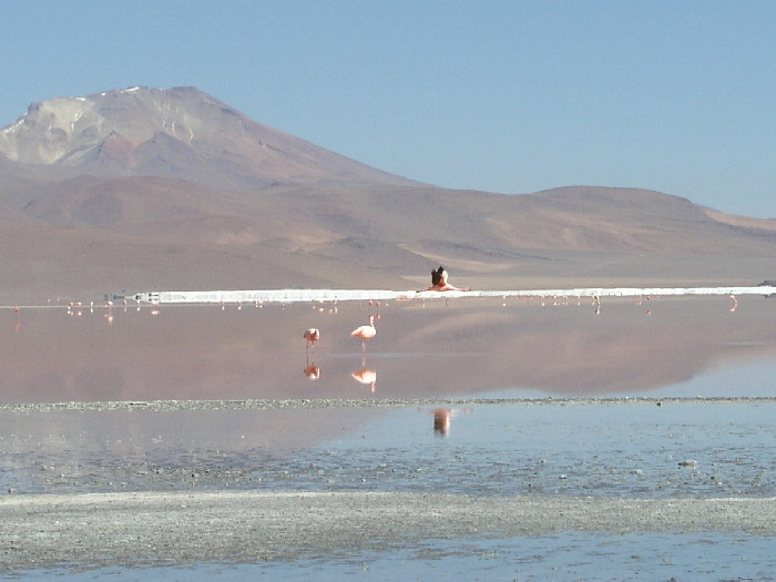 Laguna Colorada