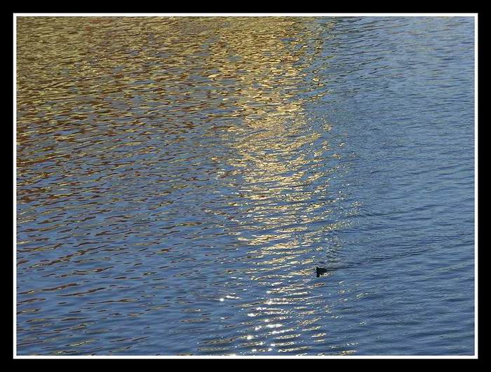 Zimní Vltava