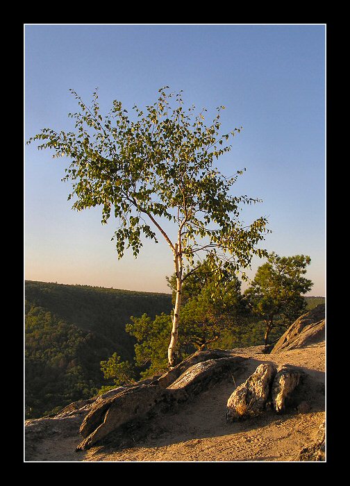 ... Sealsfielduv kamen ...