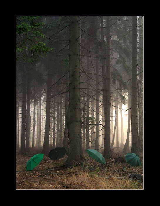 Nezaprší a nezaprší II