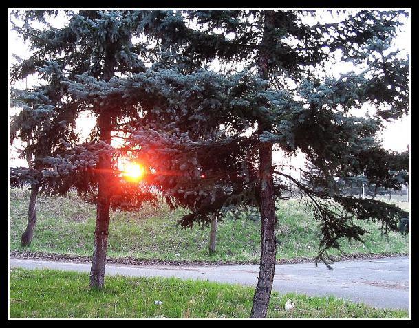 UFO nebo kulový blesk?