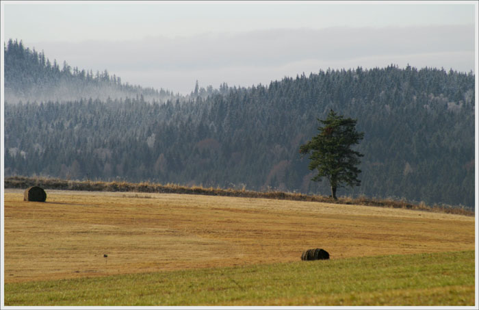 Šumava