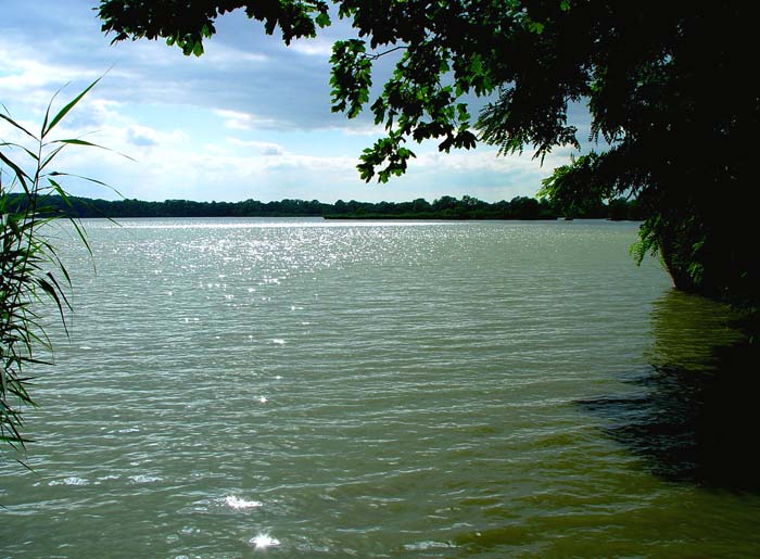 Jaroslavický rybník