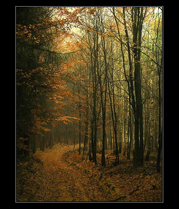 Ještě jednou Kokořínsko