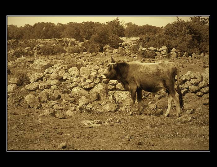 Na Giaře di Gesturi - Sardinie