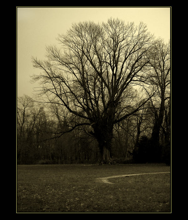 Toulky po Slatiňanském parku I