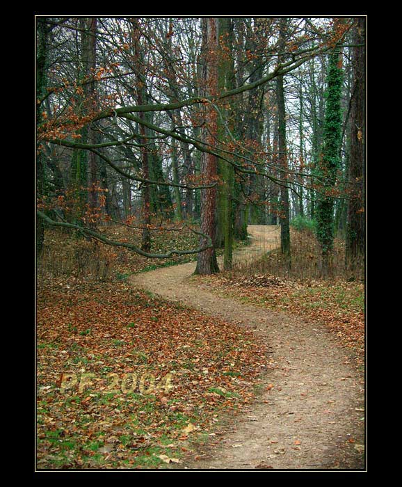 At vas vase cesta ...