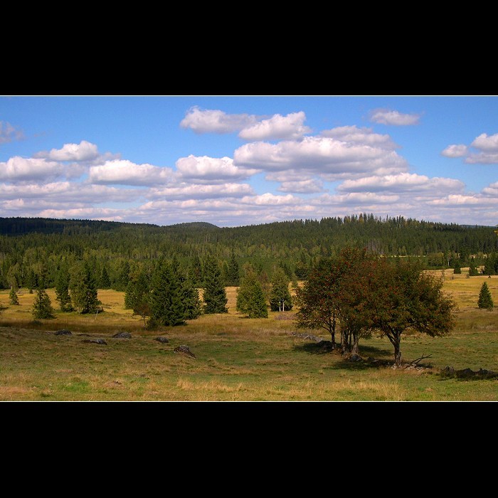 Šumavská