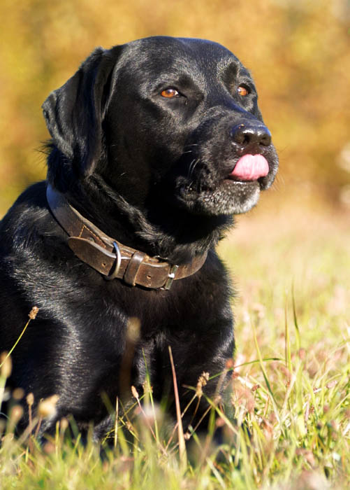 ňam to je dobrota...