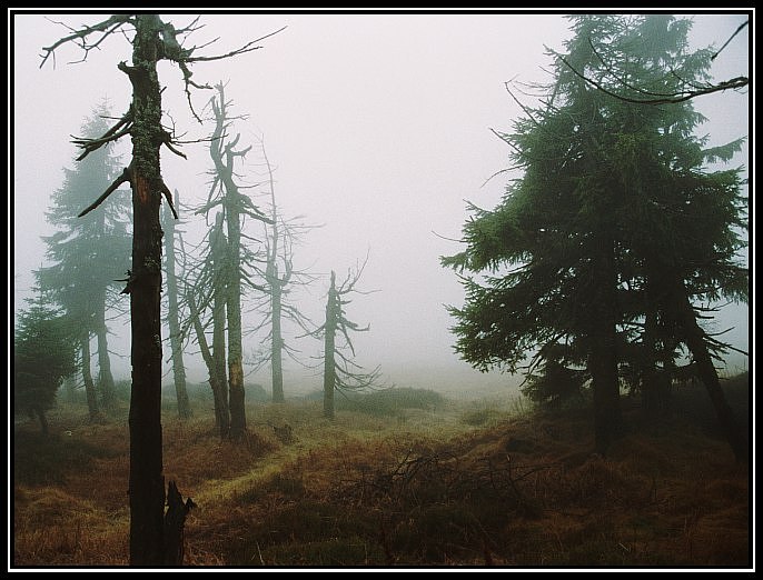 ...a za pár hodin přišla Zima