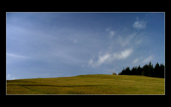 XP Desktop + stromy :-)