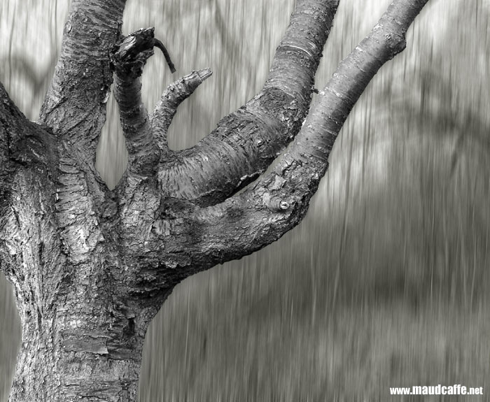 Rainy Day