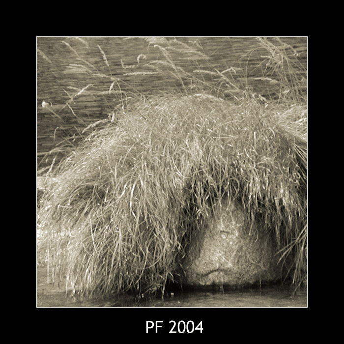 PF 2004